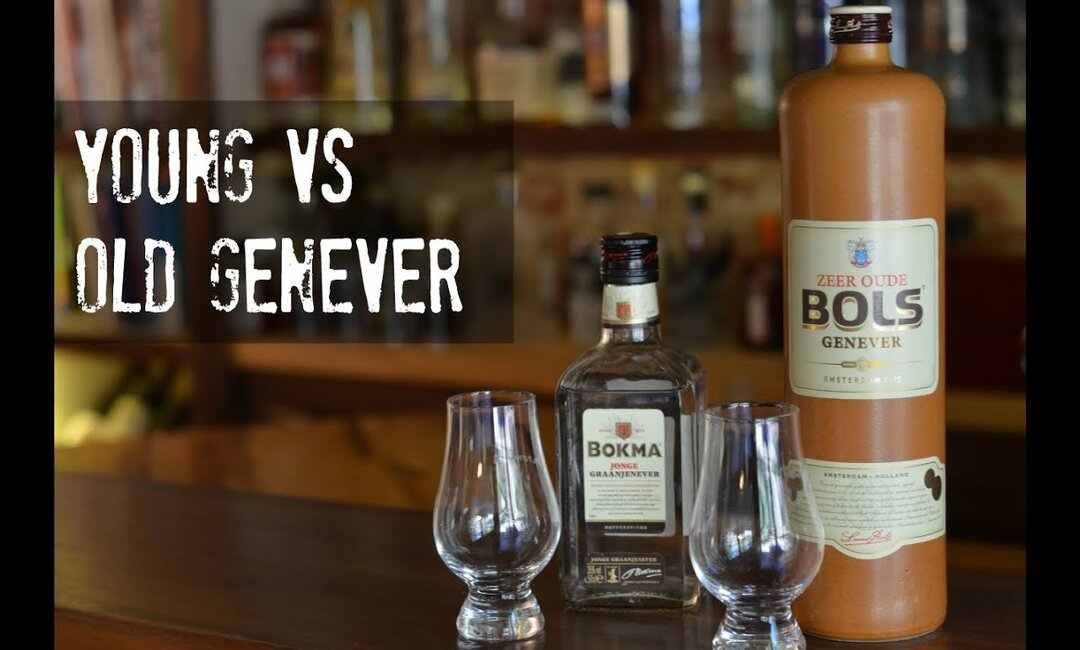 Phiên bản Young và Old của rượu Gin Genever