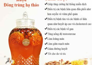 Công dụng rượu đông trùng hạ thảo