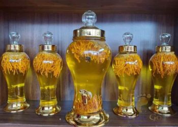 Lợi ích của rượu đông trùng hạ thảo