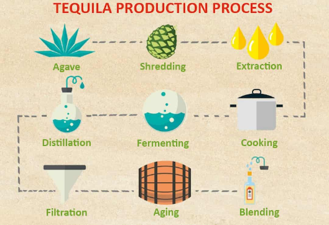 Quy trình sản xuất rượu Tequila