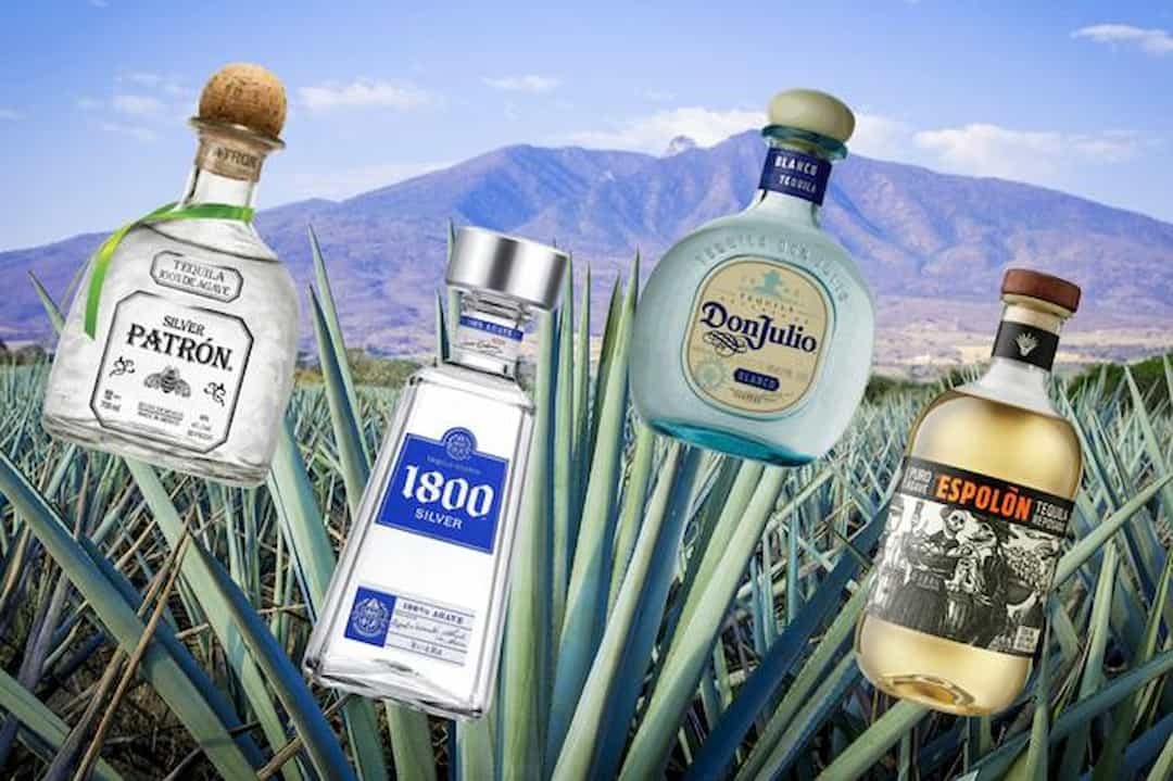 Top Rượu Tequila ngon