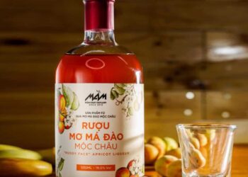 Các loại rượu mơ nổi tiếng Việt Nam