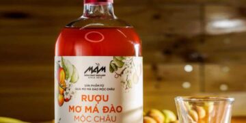 Các loại rượu mơ nổi tiếng Việt Nam
