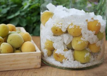 Hướng dẫn cách ngâm rượu mơ chuẩn