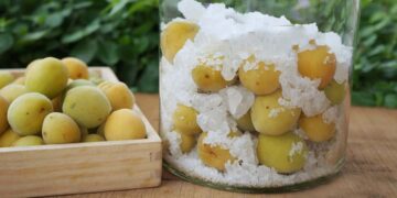 Hướng dẫn cách ngâm rượu mơ chuẩn