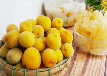 Công dụng của rượu mơ