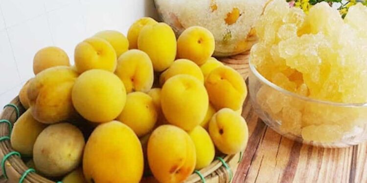 Công dụng của rượu mơ