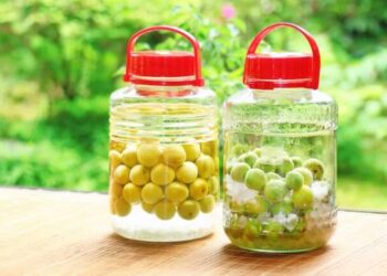 Những lưu ý khi sử dụng rượu mơ