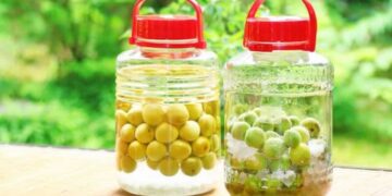 Những lưu ý khi sử dụng rượu mơ