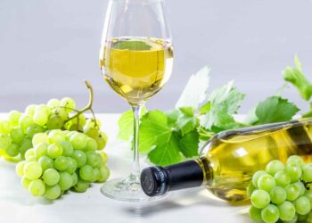 Vang trắng có đặc điểm hương vị như thế nào?