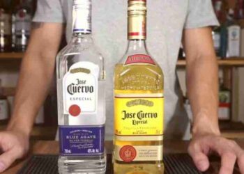 Cách thẩm Tequila với những lát chanh và muối khoáng