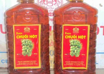 Rượu chuối hột là đặc sản lừng danh ở miền tây