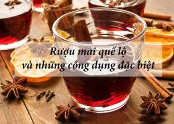 Tổng hợp những tác dụng tuyệt vời của rượu mai quế lộ