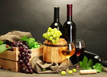 Tác dụng của rượu vang đối với sức khỏe của con người