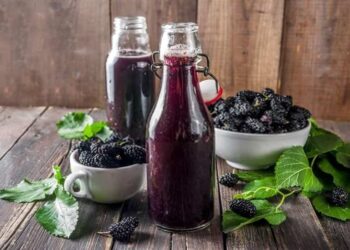 Cách ngâm rượu dâu tằm chất lượng