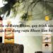 Quy trình sản xuất rượu rum