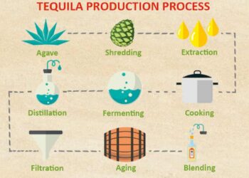 Quy trình sản xuất rượu Tequila