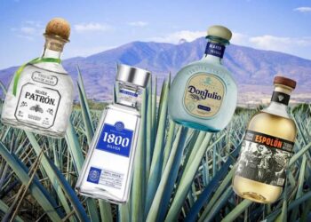 Top Rượu Tequila ngon
